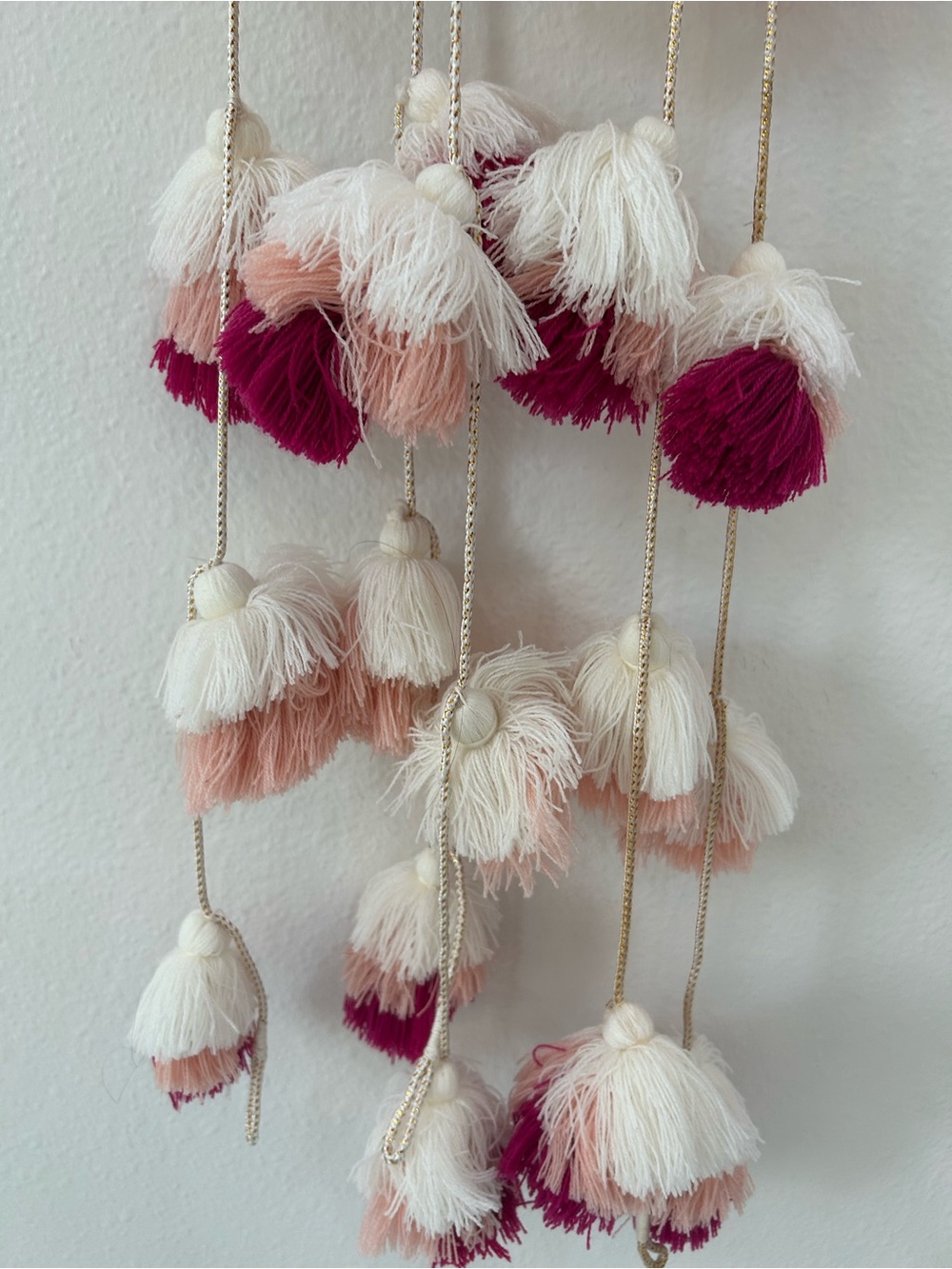 Tassel Garland Pom Pom in Cream, Blush & Berry Wall Hanging, Set of 5, 57” Each